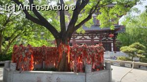 [P50]  -- <small>// FĂRĂ DESCRIERE</small> » foto by geani anto
 - 
<span class="allrVoted glyphicon glyphicon-heart hidden" id="av1502713"></span>
<a class="m-l-10 hidden" id="sv1502713" onclick="voting_Foto_DelVot(,1502713,20766)" role="button">șterge vot <span class="glyphicon glyphicon-remove"></span></a>
<a id="v91502713" class=" c-red"  onclick="voting_Foto_SetVot(1502713)" role="button"><span class="glyphicon glyphicon-heart-empty"></span> <b>LIKE</b> = Votează poza</a> <img class="hidden"  id="f1502713W9" src="/imagini/loader.gif" border="0" /><span class="AjErrMes hidden" id="e1502713ErM"></span>