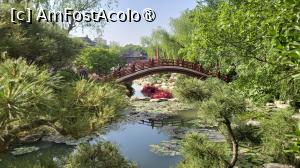 [P51]  -- <small>// FĂRĂ DESCRIERE</small> » foto by geani anto
 - 
<span class="allrVoted glyphicon glyphicon-heart hidden" id="av1502714"></span>
<a class="m-l-10 hidden" id="sv1502714" onclick="voting_Foto_DelVot(,1502714,20766)" role="button">șterge vot <span class="glyphicon glyphicon-remove"></span></a>
<a id="v91502714" class=" c-red"  onclick="voting_Foto_SetVot(1502714)" role="button"><span class="glyphicon glyphicon-heart-empty"></span> <b>LIKE</b> = Votează poza</a> <img class="hidden"  id="f1502714W9" src="/imagini/loader.gif" border="0" /><span class="AjErrMes hidden" id="e1502714ErM"></span>