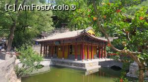 [P07] In Gradina Huan, mica si eleganta, un rodiu se inclina spre lac, iar pestii koi inoata printre nuferi.  » foto by geani anto
 - 
<span class="allrVoted glyphicon glyphicon-heart hidden" id="av1502671"></span>
<a class="m-l-10 hidden" id="sv1502671" onclick="voting_Foto_DelVot(,1502671,20766)" role="button">șterge vot <span class="glyphicon glyphicon-remove"></span></a>
<a id="v91502671" class=" c-red"  onclick="voting_Foto_SetVot(1502671)" role="button"><span class="glyphicon glyphicon-heart-empty"></span> <b>LIKE</b> = Votează poza</a> <img class="hidden"  id="f1502671W9" src="/imagini/loader.gif" border="0" /><span class="AjErrMes hidden" id="e1502671ErM"></span>