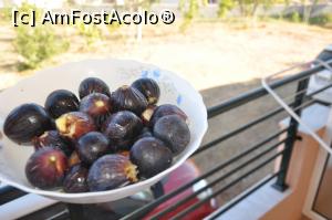 [P02] smochine la balcon » foto by AndreiAndres
 - 
<span class="allrVoted glyphicon glyphicon-heart hidden" id="av889167"></span>
<a class="m-l-10 hidden" id="sv889167" onclick="voting_Foto_DelVot(,889167,20771)" role="button">șterge vot <span class="glyphicon glyphicon-remove"></span></a>
<a id="v9889167" class=" c-red"  onclick="voting_Foto_SetVot(889167)" role="button"><span class="glyphicon glyphicon-heart-empty"></span> <b>LIKE</b> = Votează poza</a> <img class="hidden"  id="f889167W9" src="/imagini/loader.gif" border="0" /><span class="AjErrMes hidden" id="e889167ErM"></span>