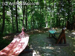 [P04] Locul de relaxare din pădure, unul din punctele forte ale locului » foto by crismis
 - 
<span class="allrVoted glyphicon glyphicon-heart hidden" id="av1168078"></span>
<a class="m-l-10 hidden" id="sv1168078" onclick="voting_Foto_DelVot(,1168078,20786)" role="button">șterge vot <span class="glyphicon glyphicon-remove"></span></a>
<a id="v91168078" class=" c-red"  onclick="voting_Foto_SetVot(1168078)" role="button"><span class="glyphicon glyphicon-heart-empty"></span> <b>LIKE</b> = Votează poza</a> <img class="hidden"  id="f1168078W9" src="/imagini/loader.gif" border="0" /><span class="AjErrMes hidden" id="e1168078ErM"></span>