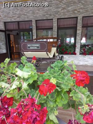 [P01] Intrare restaurant. » foto by tata123 🔱
 - 
<span class="allrVoted glyphicon glyphicon-heart hidden" id="av1302337"></span>
<a class="m-l-10 hidden" id="sv1302337" onclick="voting_Foto_DelVot(,1302337,20786)" role="button">șterge vot <span class="glyphicon glyphicon-remove"></span></a>
<a id="v91302337" class=" c-red"  onclick="voting_Foto_SetVot(1302337)" role="button"><span class="glyphicon glyphicon-heart-empty"></span> <b>LIKE</b> = Votează poza</a> <img class="hidden"  id="f1302337W9" src="/imagini/loader.gif" border="0" /><span class="AjErrMes hidden" id="e1302337ErM"></span>