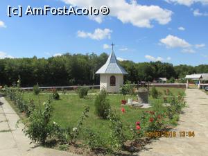 [P12] dam cu banul pentru prima alee.  » foto by adri-nico
 - 
<span class="allrVoted glyphicon glyphicon-heart hidden" id="av777915"></span>
<a class="m-l-10 hidden" id="sv777915" onclick="voting_Foto_DelVot(,777915,20800)" role="button">șterge vot <span class="glyphicon glyphicon-remove"></span></a>
<a id="v9777915" class=" c-red"  onclick="voting_Foto_SetVot(777915)" role="button"><span class="glyphicon glyphicon-heart-empty"></span> <b>LIKE</b> = Votează poza</a> <img class="hidden"  id="f777915W9" src="/imagini/loader.gif" border="0" /><span class="AjErrMes hidden" id="e777915ErM"></span>