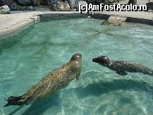 [P04] Cred ca cei mai fericiti erau personjele din poza pentru ca aveau piscina si ext si int » foto by ionescunic
 - 
<span class="allrVoted glyphicon glyphicon-heart hidden" id="av56506"></span>
<a class="m-l-10 hidden" id="sv56506" onclick="voting_Foto_DelVot(,56506,20803)" role="button">șterge vot <span class="glyphicon glyphicon-remove"></span></a>
<a id="v956506" class=" c-red"  onclick="voting_Foto_SetVot(56506)" role="button"><span class="glyphicon glyphicon-heart-empty"></span> <b>LIKE</b> = Votează poza</a> <img class="hidden"  id="f56506W9" src="/imagini/loader.gif" border="0" /><span class="AjErrMes hidden" id="e56506ErM"></span>