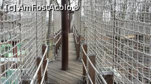 [P12] Pe traseu la Zoo » foto by Nicu
 - 
<span class="allrVoted glyphicon glyphicon-heart hidden" id="av954721"></span>
<a class="m-l-10 hidden" id="sv954721" onclick="voting_Foto_DelVot(,954721,20803)" role="button">șterge vot <span class="glyphicon glyphicon-remove"></span></a>
<a id="v9954721" class=" c-red"  onclick="voting_Foto_SetVot(954721)" role="button"><span class="glyphicon glyphicon-heart-empty"></span> <b>LIKE</b> = Votează poza</a> <img class="hidden"  id="f954721W9" src="/imagini/loader.gif" border="0" /><span class="AjErrMes hidden" id="e954721ErM"></span>