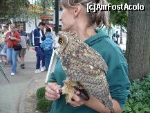 [P17] ZOO Nyiregyhaza - unul din ingrijitorii gradinii zoologice cu o bufnita prezentata copiilor » foto by danoradea
 - 
<span class="allrVoted glyphicon glyphicon-heart hidden" id="av124202"></span>
<a class="m-l-10 hidden" id="sv124202" onclick="voting_Foto_DelVot(,124202,20803)" role="button">șterge vot <span class="glyphicon glyphicon-remove"></span></a>
<a id="v9124202" class=" c-red"  onclick="voting_Foto_SetVot(124202)" role="button"><span class="glyphicon glyphicon-heart-empty"></span> <b>LIKE</b> = Votează poza</a> <img class="hidden"  id="f124202W9" src="/imagini/loader.gif" border="0" /><span class="AjErrMes hidden" id="e124202ErM"></span>