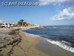 [P19] View spre locul unde sunt sezlongurile noastre (cam pe unde se vad palmierii). Din cauza furtunii, marea a adus mai multe alge la tarm.  » foto by danutiasi
 - 
<span class="allrVoted glyphicon glyphicon-heart hidden" id="av1109130"></span>
<a class="m-l-10 hidden" id="sv1109130" onclick="voting_Foto_DelVot(,1109130,20878)" role="button">șterge vot <span class="glyphicon glyphicon-remove"></span></a>
<a id="v91109130" class=" c-red"  onclick="voting_Foto_SetVot(1109130)" role="button"><span class="glyphicon glyphicon-heart-empty"></span> <b>LIKE</b> = Votează poza</a> <img class="hidden"  id="f1109130W9" src="/imagini/loader.gif" border="0" /><span class="AjErrMes hidden" id="e1109130ErM"></span>