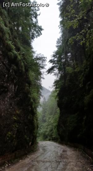 [P03] Cheile Ordancusei » foto by IDIS
 - 
<span class="allrVoted glyphicon glyphicon-heart hidden" id="av783570"></span>
<a class="m-l-10 hidden" id="sv783570" onclick="voting_Foto_DelVot(,783570,20901)" role="button">șterge vot <span class="glyphicon glyphicon-remove"></span></a>
<a id="v9783570" class=" c-red"  onclick="voting_Foto_SetVot(783570)" role="button"><span class="glyphicon glyphicon-heart-empty"></span> <b>LIKE</b> = Votează poza</a> <img class="hidden"  id="f783570W9" src="/imagini/loader.gif" border="0" /><span class="AjErrMes hidden" id="e783570ErM"></span>