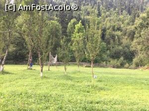 [P05] Un pic de sport nu strică niciodată » foto by krisstinna
 - 
<span class="allrVoted glyphicon glyphicon-heart hidden" id="av784327"></span>
<a class="m-l-10 hidden" id="sv784327" onclick="voting_Foto_DelVot(,784327,20921)" role="button">șterge vot <span class="glyphicon glyphicon-remove"></span></a>
<a id="v9784327" class=" c-red"  onclick="voting_Foto_SetVot(784327)" role="button"><span class="glyphicon glyphicon-heart-empty"></span> <b>LIKE</b> = Votează poza</a> <img class="hidden"  id="f784327W9" src="/imagini/loader.gif" border="0" /><span class="AjErrMes hidden" id="e784327ErM"></span>