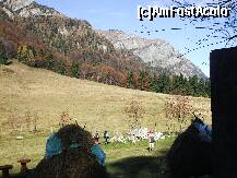 [P02] Pastel de toamna in Poiana Stanii Regale » foto by Lumis66
 - 
<span class="allrVoted glyphicon glyphicon-heart hidden" id="av192718"></span>
<a class="m-l-10 hidden" id="sv192718" onclick="voting_Foto_DelVot(,192718,20952)" role="button">șterge vot <span class="glyphicon glyphicon-remove"></span></a>
<a id="v9192718" class=" c-red"  onclick="voting_Foto_SetVot(192718)" role="button"><span class="glyphicon glyphicon-heart-empty"></span> <b>LIKE</b> = Votează poza</a> <img class="hidden"  id="f192718W9" src="/imagini/loader.gif" border="0" /><span class="AjErrMes hidden" id="e192718ErM"></span>