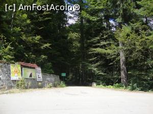 [P01] Din drumul spre Cota 1400 (Sinaia) pornește spre dreapta aleea care avea să ne conducă rapid către Poteca Regală. » foto by Floryn81
 - 
<span class="allrVoted glyphicon glyphicon-heart hidden" id="av786873"></span>
<a class="m-l-10 hidden" id="sv786873" onclick="voting_Foto_DelVot(,786873,20952)" role="button">șterge vot <span class="glyphicon glyphicon-remove"></span></a>
<a id="v9786873" class=" c-red"  onclick="voting_Foto_SetVot(786873)" role="button"><span class="glyphicon glyphicon-heart-empty"></span> <b>LIKE</b> = Votează poza</a> <img class="hidden"  id="f786873W9" src="/imagini/loader.gif" border="0" /><span class="AjErrMes hidden" id="e786873ErM"></span>