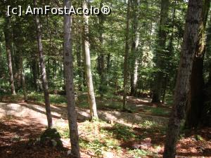 [P10] Poteca Regală urcă apoi destul de susținut, în curbe strânse. Am făcut câteva pauze scurte, prilej pentru a realiza fotografii.  » foto by Floryn81
 - 
<span class="allrVoted glyphicon glyphicon-heart hidden" id="av786890"></span>
<a class="m-l-10 hidden" id="sv786890" onclick="voting_Foto_DelVot(,786890,20952)" role="button">șterge vot <span class="glyphicon glyphicon-remove"></span></a>
<a id="v9786890" class=" c-red"  onclick="voting_Foto_SetVot(786890)" role="button"><span class="glyphicon glyphicon-heart-empty"></span> <b>LIKE</b> = Votează poza</a> <img class="hidden"  id="f786890W9" src="/imagini/loader.gif" border="0" /><span class="AjErrMes hidden" id="e786890ErM"></span>
