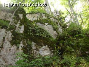 [P14] Măreția naturii ne-a impresionat la orice pas.  » foto by Floryn81
 - 
<span class="allrVoted glyphicon glyphicon-heart hidden" id="av786899"></span>
<a class="m-l-10 hidden" id="sv786899" onclick="voting_Foto_DelVot(,786899,20952)" role="button">șterge vot <span class="glyphicon glyphicon-remove"></span></a>
<a id="v9786899" class=" c-red"  onclick="voting_Foto_SetVot(786899)" role="button"><span class="glyphicon glyphicon-heart-empty"></span> <b>LIKE</b> = Votează poza</a> <img class="hidden"  id="f786899W9" src="/imagini/loader.gif" border="0" /><span class="AjErrMes hidden" id="e786899ErM"></span>