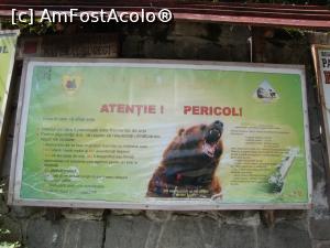 [P02] Am lecturat cu atenție panoul informativ, ne-am făcut curaj și am intrat în pădure!  » foto by Floryn81
 - 
<span class="allrVoted glyphicon glyphicon-heart hidden" id="av786876"></span>
<a class="m-l-10 hidden" id="sv786876" onclick="voting_Foto_DelVot(,786876,20952)" role="button">șterge vot <span class="glyphicon glyphicon-remove"></span></a>
<a id="v9786876" class=" c-red"  onclick="voting_Foto_SetVot(786876)" role="button"><span class="glyphicon glyphicon-heart-empty"></span> <b>LIKE</b> = Votează poza</a> <img class="hidden"  id="f786876W9" src="/imagini/loader.gif" border="0" /><span class="AjErrMes hidden" id="e786876ErM"></span>
