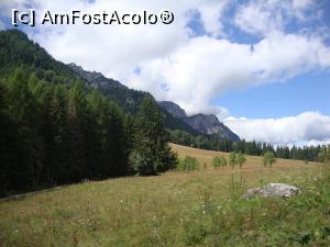 [P28] Ultima fotografie - Stâna Regală, locul unde am ajuns după o drumeție superbă pe Poteca Regală! Vom reveni cândva acolo!  » foto by Floryn81
 - 
<span class="allrVoted glyphicon glyphicon-heart hidden" id="av786922"></span>
<a class="m-l-10 hidden" id="sv786922" onclick="voting_Foto_DelVot(,786922,20952)" role="button">șterge vot <span class="glyphicon glyphicon-remove"></span></a>
<a id="v9786922" class=" c-red"  onclick="voting_Foto_SetVot(786922)" role="button"><span class="glyphicon glyphicon-heart-empty"></span> <b>LIKE</b> = Votează poza</a> <img class="hidden"  id="f786922W9" src="/imagini/loader.gif" border="0" /><span class="AjErrMes hidden" id="e786922ErM"></span>