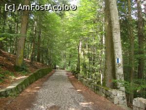 [P03] Prima parte a traseului - în zona pârâului Peleș.  » foto by Floryn81
 - 
<span class="allrVoted glyphicon glyphicon-heart hidden" id="av786877"></span>
<a class="m-l-10 hidden" id="sv786877" onclick="voting_Foto_DelVot(,786877,20952)" role="button">șterge vot <span class="glyphicon glyphicon-remove"></span></a>
<a id="v9786877" class=" c-red"  onclick="voting_Foto_SetVot(786877)" role="button"><span class="glyphicon glyphicon-heart-empty"></span> <b>LIKE</b> = Votează poza</a> <img class="hidden"  id="f786877W9" src="/imagini/loader.gif" border="0" /><span class="AjErrMes hidden" id="e786877ErM"></span>