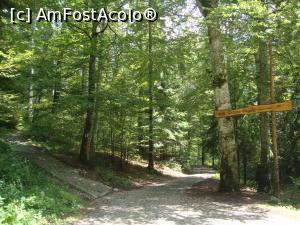 [P06] Se observă indicatorul pentru Poteca Regală. Din acest punct mai sunt de parcurs 1,7 kilometri până în Poiana Stânei Regale.  » foto by Floryn81
 - 
<span class="allrVoted glyphicon glyphicon-heart hidden" id="av786881"></span>
<a class="m-l-10 hidden" id="sv786881" onclick="voting_Foto_DelVot(,786881,20952)" role="button">șterge vot <span class="glyphicon glyphicon-remove"></span></a>
<a id="v9786881" class=" c-red"  onclick="voting_Foto_SetVot(786881)" role="button"><span class="glyphicon glyphicon-heart-empty"></span> <b>LIKE</b> = Votează poza</a> <img class="hidden"  id="f786881W9" src="/imagini/loader.gif" border="0" /><span class="AjErrMes hidden" id="e786881ErM"></span>