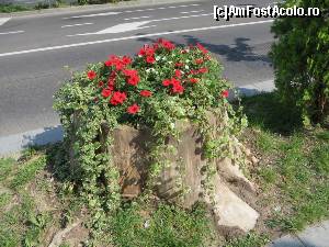 [P28] Amenajare peisagistică pe bulevardul Carol I - Sinaia.  » foto by tata123 🔱
 - 
<span class="allrVoted glyphicon glyphicon-heart hidden" id="av655574"></span>
<a class="m-l-10 hidden" id="sv655574" onclick="voting_Foto_DelVot(,655574,20952)" role="button">șterge vot <span class="glyphicon glyphicon-remove"></span></a>
<a id="v9655574" class=" c-red"  onclick="voting_Foto_SetVot(655574)" role="button"><span class="glyphicon glyphicon-heart-empty"></span> <b>LIKE</b> = Votează poza</a> <img class="hidden"  id="f655574W9" src="/imagini/loader.gif" border="0" /><span class="AjErrMes hidden" id="e655574ErM"></span>