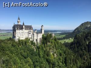 [P29] Castelul Neuschwanstein - in toata splendoarea lui » foto by mishu
 - 
<span class="allrVoted glyphicon glyphicon-heart hidden" id="av1025568"></span>
<a class="m-l-10 hidden" id="sv1025568" onclick="voting_Foto_DelVot(,1025568,20953)" role="button">șterge vot <span class="glyphicon glyphicon-remove"></span></a>
<a id="v91025568" class=" c-red"  onclick="voting_Foto_SetVot(1025568)" role="button"><span class="glyphicon glyphicon-heart-empty"></span> <b>LIKE</b> = Votează poza</a> <img class="hidden"  id="f1025568W9" src="/imagini/loader.gif" border="0" /><span class="AjErrMes hidden" id="e1025568ErM"></span>
