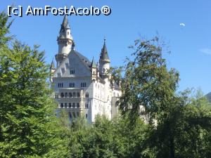 [P32] Castelul Neuschwanstein - ne apropiem de el.  » foto by mishu
 - 
<span class="allrVoted glyphicon glyphicon-heart hidden" id="av1025571"></span>
<a class="m-l-10 hidden" id="sv1025571" onclick="voting_Foto_DelVot(,1025571,20953)" role="button">șterge vot <span class="glyphicon glyphicon-remove"></span></a>
<a id="v91025571" class=" c-red"  onclick="voting_Foto_SetVot(1025571)" role="button"><span class="glyphicon glyphicon-heart-empty"></span> <b>LIKE</b> = Votează poza</a> <img class="hidden"  id="f1025571W9" src="/imagini/loader.gif" border="0" /><span class="AjErrMes hidden" id="e1025571ErM"></span>