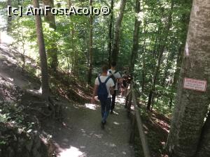 [P43] Castelul Neuschwanstein - In pas vioi spre vale » foto by mishu
 - 
<span class="allrVoted glyphicon glyphicon-heart hidden" id="av1025582"></span>
<a class="m-l-10 hidden" id="sv1025582" onclick="voting_Foto_DelVot(,1025582,20953)" role="button">șterge vot <span class="glyphicon glyphicon-remove"></span></a>
<a id="v91025582" class=" c-red"  onclick="voting_Foto_SetVot(1025582)" role="button"><span class="glyphicon glyphicon-heart-empty"></span> <b>LIKE</b> = Votează poza</a> <img class="hidden"  id="f1025582W9" src="/imagini/loader.gif" border="0" /><span class="AjErrMes hidden" id="e1025582ErM"></span>