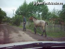 [P03] in 2006 inca nu era asfalt » foto by dorgo
 - 
<span class="allrVoted glyphicon glyphicon-heart hidden" id="av93711"></span>
<a class="m-l-10 hidden" id="sv93711" onclick="voting_Foto_DelVot(,93711,20973)" role="button">șterge vot <span class="glyphicon glyphicon-remove"></span></a>
<a id="v993711" class=" c-red"  onclick="voting_Foto_SetVot(93711)" role="button"><span class="glyphicon glyphicon-heart-empty"></span> <b>LIKE</b> = Votează poza</a> <img class="hidden"  id="f93711W9" src="/imagini/loader.gif" border="0" /><span class="AjErrMes hidden" id="e93711ErM"></span>