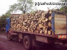 [P05] lemne pentru gater » foto by dorgo
 - 
<span class="allrVoted glyphicon glyphicon-heart hidden" id="av93713"></span>
<a class="m-l-10 hidden" id="sv93713" onclick="voting_Foto_DelVot(,93713,20973)" role="button">șterge vot <span class="glyphicon glyphicon-remove"></span></a>
<a id="v993713" class=" c-red"  onclick="voting_Foto_SetVot(93713)" role="button"><span class="glyphicon glyphicon-heart-empty"></span> <b>LIKE</b> = Votează poza</a> <img class="hidden"  id="f93713W9" src="/imagini/loader.gif" border="0" /><span class="AjErrMes hidden" id="e93713ErM"></span>