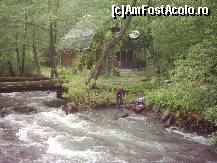 [P06] la km 3 incepe salbaticia » foto by dorgo
 - 
<span class="allrVoted glyphicon glyphicon-heart hidden" id="av93714"></span>
<a class="m-l-10 hidden" id="sv93714" onclick="voting_Foto_DelVot(,93714,20973)" role="button">șterge vot <span class="glyphicon glyphicon-remove"></span></a>
<a id="v993714" class=" c-red"  onclick="voting_Foto_SetVot(93714)" role="button"><span class="glyphicon glyphicon-heart-empty"></span> <b>LIKE</b> = Votează poza</a> <img class="hidden"  id="f93714W9" src="/imagini/loader.gif" border="0" /><span class="AjErrMes hidden" id="e93714ErM"></span>