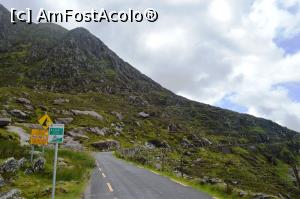 [P26] Peninsula Dingle - pasul Conor » foto by makuy*
 - 
<span class="allrVoted glyphicon glyphicon-heart hidden" id="av787592"></span>
<a class="m-l-10 hidden" id="sv787592" onclick="voting_Foto_DelVot(,787592,20989)" role="button">șterge vot <span class="glyphicon glyphicon-remove"></span></a>
<a id="v9787592" class=" c-red"  onclick="voting_Foto_SetVot(787592)" role="button"><span class="glyphicon glyphicon-heart-empty"></span> <b>LIKE</b> = Votează poza</a> <img class="hidden"  id="f787592W9" src="/imagini/loader.gif" border="0" /><span class="AjErrMes hidden" id="e787592ErM"></span>