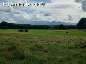 [P06] Peisaj rural irlandez » foto by Marius 72
 - 
<span class="allrVoted glyphicon glyphicon-heart hidden" id="av1393466"></span>
<a class="m-l-10 hidden" id="sv1393466" onclick="voting_Foto_DelVot(,1393466,20989)" role="button">șterge vot <span class="glyphicon glyphicon-remove"></span></a>
<a id="v91393466" class=" c-red"  onclick="voting_Foto_SetVot(1393466)" role="button"><span class="glyphicon glyphicon-heart-empty"></span> <b>LIKE</b> = Votează poza</a> <img class="hidden"  id="f1393466W9" src="/imagini/loader.gif" border="0" /><span class="AjErrMes hidden" id="e1393466ErM"></span>