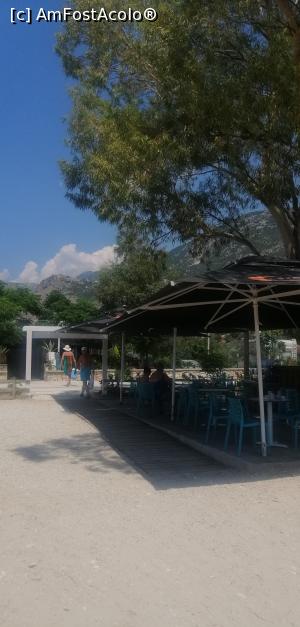 [P08] Taverna Jon de la Qeparo, cu beach barul de sub copac. Umbră perfectă toată ziua. » foto by dognean
 - 
<span class="allrVoted glyphicon glyphicon-heart hidden" id="av1182375"></span>
<a class="m-l-10 hidden" id="sv1182375" onclick="voting_Foto_DelVot(,1182375,21005)" role="button">șterge vot <span class="glyphicon glyphicon-remove"></span></a>
<a id="v91182375" class=" c-red"  onclick="voting_Foto_SetVot(1182375)" role="button"><span class="glyphicon glyphicon-heart-empty"></span> <b>LIKE</b> = Votează poza</a> <img class="hidden"  id="f1182375W9" src="/imagini/loader.gif" border="0" /><span class="AjErrMes hidden" id="e1182375ErM"></span>