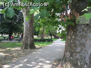 [P31] alee in parcul Dragalina » foto by Dan&Ema
 - 
<span class="allrVoted glyphicon glyphicon-heart hidden" id="av789263"></span>
<a class="m-l-10 hidden" id="sv789263" onclick="voting_Foto_DelVot(,789263,21011)" role="button">șterge vot <span class="glyphicon glyphicon-remove"></span></a>
<a id="v9789263" class=" c-red"  onclick="voting_Foto_SetVot(789263)" role="button"><span class="glyphicon glyphicon-heart-empty"></span> <b>LIKE</b> = Votează poza</a> <img class="hidden"  id="f789263W9" src="/imagini/loader.gif" border="0" /><span class="AjErrMes hidden" id="e789263ErM"></span>
