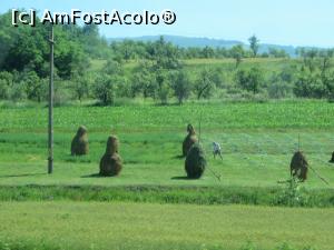 [P02] Peisaj rural - în drum spre Caransebeș.  » foto by tata123 🔱
 - 
<span class="allrVoted glyphicon glyphicon-heart hidden" id="av883772"></span>
<a class="m-l-10 hidden" id="sv883772" onclick="voting_Foto_DelVot(,883772,21011)" role="button">șterge vot <span class="glyphicon glyphicon-remove"></span></a>
<a id="v9883772" class=" c-red"  onclick="voting_Foto_SetVot(883772)" role="button"><span class="glyphicon glyphicon-heart-empty"></span> <b>LIKE</b> = Votează poza</a> <img class="hidden"  id="f883772W9" src="/imagini/loader.gif" border="0" /><span class="AjErrMes hidden" id="e883772ErM"></span>