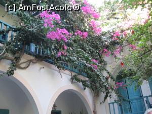 [P25] 24. Florile de bougainvillea, care „ningeau”, uneori, peste noi.  » foto by doinafil
 - 
<span class="allrVoted glyphicon glyphicon-heart hidden" id="av789413"></span>
<a class="m-l-10 hidden" id="sv789413" onclick="voting_Foto_DelVot(,789413,21017)" role="button">șterge vot <span class="glyphicon glyphicon-remove"></span></a>
<a id="v9789413" class=" c-red"  onclick="voting_Foto_SetVot(789413)" role="button"><span class="glyphicon glyphicon-heart-empty"></span> <b>LIKE</b> = Votează poza</a> <img class="hidden"  id="f789413W9" src="/imagini/loader.gif" border="0" /><span class="AjErrMes hidden" id="e789413ErM"></span>
