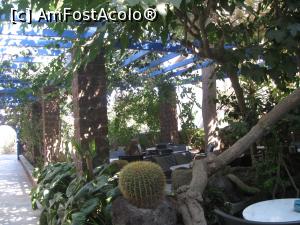 [P29] 28. Pergola care susține florile, pe toată aleea de la intrare în hotel » foto by doinafil
 - 
<span class="allrVoted glyphicon glyphicon-heart hidden" id="av789418"></span>
<a class="m-l-10 hidden" id="sv789418" onclick="voting_Foto_DelVot(,789418,21017)" role="button">șterge vot <span class="glyphicon glyphicon-remove"></span></a>
<a id="v9789418" class=" c-red"  onclick="voting_Foto_SetVot(789418)" role="button"><span class="glyphicon glyphicon-heart-empty"></span> <b>LIKE</b> = Votează poza</a> <img class="hidden"  id="f789418W9" src="/imagini/loader.gif" border="0" /><span class="AjErrMes hidden" id="e789418ErM"></span>