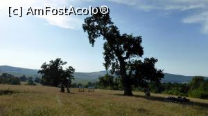 [P11] Un ultim popas (loc de popas amenajat) înainte de întâlnirea cu Bătrânul. În dreapta este o „masă” cu două ”bănci”, la mijloc panouri turistice informative, iar în stânga POARTA-PORTALUL care ne duce înapoi un mileniu în timp. În spatele PORȚII este Bătrânul » foto by Lucien
 - 
<span class="allrVoted glyphicon glyphicon-heart hidden" id="av967227"></span>
<a class="m-l-10 hidden" id="sv967227" onclick="voting_Foto_DelVot(,967227,21040)" role="button">șterge vot <span class="glyphicon glyphicon-remove"></span></a>
<a id="v9967227" class=" c-red"  onclick="voting_Foto_SetVot(967227)" role="button"><span class="glyphicon glyphicon-heart-empty"></span> <b>LIKE</b> = Votează poza</a> <img class="hidden"  id="f967227W9" src="/imagini/loader.gif" border="0" /><span class="AjErrMes hidden" id="e967227ErM"></span>