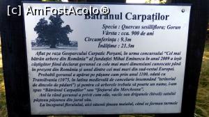 [P20] Panou turistic explicativ amplasat pe gardul care înconjoară Bătrânul » foto by Lucien
 - 
<span class="allrVoted glyphicon glyphicon-heart hidden" id="av967236"></span>
<a class="m-l-10 hidden" id="sv967236" onclick="voting_Foto_DelVot(,967236,21040)" role="button">șterge vot <span class="glyphicon glyphicon-remove"></span></a>
<a id="v9967236" class=" c-red"  onclick="voting_Foto_SetVot(967236)" role="button"><span class="glyphicon glyphicon-heart-empty"></span> <b>LIKE</b> = Votează poza</a> <img class="hidden"  id="f967236W9" src="/imagini/loader.gif" border="0" /><span class="AjErrMes hidden" id="e967236ErM"></span>