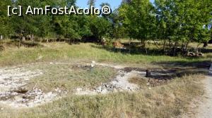 [P11] Vis-a-vis de forajul din poza precedentă se află această sărătură mlăștinoasă în spatele căreia se văd rămășițele fostelor Băi Homorod » foto by Lucien
 - 
<span class="allrVoted glyphicon glyphicon-heart hidden" id="av968984"></span>
<a class="m-l-10 hidden" id="sv968984" onclick="voting_Foto_DelVot(,968984,21040)" role="button">șterge vot <span class="glyphicon glyphicon-remove"></span></a>
<a id="v9968984" class=" c-red"  onclick="voting_Foto_SetVot(968984)" role="button"><span class="glyphicon glyphicon-heart-empty"></span> <b>LIKE</b> = Votează poza</a> <img class="hidden"  id="f968984W9" src="/imagini/loader.gif" border="0" /><span class="AjErrMes hidden" id="e968984ErM"></span>