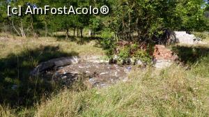 [P16] Bazinul circular văzut inițial, cu ziduri în ruină, rămășițe ale fostelor vestite cândva, Băi Homorod (Bv)  » foto by Lucien
 - 
<span class="allrVoted glyphicon glyphicon-heart hidden" id="av968992"></span>
<a class="m-l-10 hidden" id="sv968992" onclick="voting_Foto_DelVot(,968992,21040)" role="button">șterge vot <span class="glyphicon glyphicon-remove"></span></a>
<a id="v9968992" class=" c-red"  onclick="voting_Foto_SetVot(968992)" role="button"><span class="glyphicon glyphicon-heart-empty"></span> <b>LIKE</b> = Votează poza</a> <img class="hidden"  id="f968992W9" src="/imagini/loader.gif" border="0" /><span class="AjErrMes hidden" id="e968992ErM"></span>