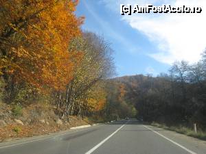 [P02] In drum spre Brasov » foto by dorgo
 - 
<span class="allrVoted glyphicon glyphicon-heart hidden" id="av460750"></span>
<a class="m-l-10 hidden" id="sv460750" onclick="voting_Foto_DelVot(,460750,21040)" role="button">șterge vot <span class="glyphicon glyphicon-remove"></span></a>
<a id="v9460750" class=" c-red"  onclick="voting_Foto_SetVot(460750)" role="button"><span class="glyphicon glyphicon-heart-empty"></span> <b>LIKE</b> = Votează poza</a> <img class="hidden"  id="f460750W9" src="/imagini/loader.gif" border="0" /><span class="AjErrMes hidden" id="e460750ErM"></span>