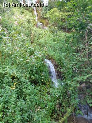 [P03] Aici se află cascada din aval. Probabil, aici se reîntoarce în albie pârâul captat și deviat în amonte. » foto by Qvadratvus
 - 
<span class="allrVoted glyphicon glyphicon-heart hidden" id="av1261360"></span>
<a class="m-l-10 hidden" id="sv1261360" onclick="voting_Foto_DelVot(,1261360,21040)" role="button">șterge vot <span class="glyphicon glyphicon-remove"></span></a>
<a id="v91261360" class=" c-red"  onclick="voting_Foto_SetVot(1261360)" role="button"><span class="glyphicon glyphicon-heart-empty"></span> <b>LIKE</b> = Votează poza</a> <img class="hidden"  id="f1261360W9" src="/imagini/loader.gif" border="0" /><span class="AjErrMes hidden" id="e1261360ErM"></span>