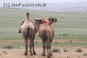 [P12] Înțeleg să ne întoarceți spatele dar nu și cocoașa...  » foto by glcitizen
 - 
<span class="allrVoted glyphicon glyphicon-heart hidden" id="av803767"></span>
<a class="m-l-10 hidden" id="sv803767" onclick="voting_Foto_DelVot(,803767,21041)" role="button">șterge vot <span class="glyphicon glyphicon-remove"></span></a>
<a id="v9803767" class=" c-red"  onclick="voting_Foto_SetVot(803767)" role="button"><span class="glyphicon glyphicon-heart-empty"></span> <b>LIKE</b> = Votează poza</a> <img class="hidden"  id="f803767W9" src="/imagini/loader.gif" border="0" /><span class="AjErrMes hidden" id="e803767ErM"></span>