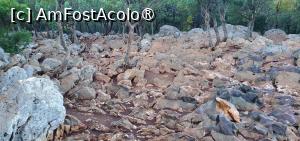 [P04] urcare pe Dealul aratarilor » foto by ionyde
 - 
<span class="allrVoted glyphicon glyphicon-heart hidden" id="av1504954"></span>
<a class="m-l-10 hidden" id="sv1504954" onclick="voting_Foto_DelVot(,1504954,21049)" role="button">șterge vot <span class="glyphicon glyphicon-remove"></span></a>
<a id="v91504954" class=" c-red"  onclick="voting_Foto_SetVot(1504954)" role="button"><span class="glyphicon glyphicon-heart-empty"></span> <b>LIKE</b> = Votează poza</a> <img class="hidden"  id="f1504954W9" src="/imagini/loader.gif" border="0" /><span class="AjErrMes hidden" id="e1504954ErM"></span>