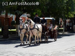 [P33] Fiestas andaluzas.  » foto by alinaro
 - 
<span class="allrVoted glyphicon glyphicon-heart hidden" id="av796271"></span>
<a class="m-l-10 hidden" id="sv796271" onclick="voting_Foto_DelVot(,796271,21055)" role="button">șterge vot <span class="glyphicon glyphicon-remove"></span></a>
<a id="v9796271" class=" c-red"  onclick="voting_Foto_SetVot(796271)" role="button"><span class="glyphicon glyphicon-heart-empty"></span> <b>LIKE</b> = Votează poza</a> <img class="hidden"  id="f796271W9" src="/imagini/loader.gif" border="0" /><span class="AjErrMes hidden" id="e796271ErM"></span>