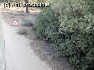 [P05] Râșii i-am văzut doar în indicatoarele care ne avertizau de prezența lor;)  » foto by alinaro
 - 
<span class="allrVoted glyphicon glyphicon-heart hidden" id="av796243"></span>
<a class="m-l-10 hidden" id="sv796243" onclick="voting_Foto_DelVot(,796243,21055)" role="button">șterge vot <span class="glyphicon glyphicon-remove"></span></a>
<a id="v9796243" class=" c-red"  onclick="voting_Foto_SetVot(796243)" role="button"><span class="glyphicon glyphicon-heart-empty"></span> <b>LIKE</b> = Votează poza</a> <img class="hidden"  id="f796243W9" src="/imagini/loader.gif" border="0" /><span class="AjErrMes hidden" id="e796243ErM"></span>