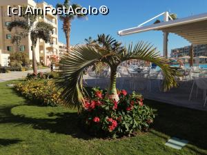 [P23] Albatros White Beach Resort » foto by mondo_76
 - 
<span class="allrVoted glyphicon glyphicon-heart hidden" id="av1216213"></span>
<a class="m-l-10 hidden" id="sv1216213" onclick="voting_Foto_DelVot(,1216213,21059)" role="button">șterge vot <span class="glyphicon glyphicon-remove"></span></a>
<a id="v91216213" class=" c-red"  onclick="voting_Foto_SetVot(1216213)" role="button"><span class="glyphicon glyphicon-heart-empty"></span> <b>LIKE</b> = Votează poza</a> <img class="hidden"  id="f1216213W9" src="/imagini/loader.gif" border="0" /><span class="AjErrMes hidden" id="e1216213ErM"></span>