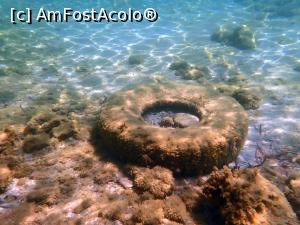 [P12] Siviri, poluarea din mare » foto by Dragoș_MD
 - 
<span class="allrVoted glyphicon glyphicon-heart hidden" id="av1255501"></span>
<a class="m-l-10 hidden" id="sv1255501" onclick="voting_Foto_DelVot(,1255501,21081)" role="button">șterge vot <span class="glyphicon glyphicon-remove"></span></a>
<a id="v91255501" class=" c-red"  onclick="voting_Foto_SetVot(1255501)" role="button"><span class="glyphicon glyphicon-heart-empty"></span> <b>LIKE</b> = Votează poza</a> <img class="hidden"  id="f1255501W9" src="/imagini/loader.gif" border="0" /><span class="AjErrMes hidden" id="e1255501ErM"></span>