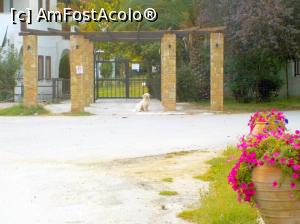 [P20] Siviri, acum și atunci - un paznic la poartă, 2016 » foto by Dragoș_MD
 - 
<span class="allrVoted glyphicon glyphicon-heart hidden" id="av818921"></span>
<a class="m-l-10 hidden" id="sv818921" onclick="voting_Foto_DelVot(,818921,21081)" role="button">șterge vot <span class="glyphicon glyphicon-remove"></span></a>
<a id="v9818921" class=" c-red"  onclick="voting_Foto_SetVot(818921)" role="button"><span class="glyphicon glyphicon-heart-empty"></span> <b>LIKE</b> = Votează poza</a> <img class="hidden"  id="f818921W9" src="/imagini/loader.gif" border="0" /><span class="AjErrMes hidden" id="e818921ErM"></span>