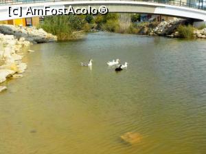 [P26] Siviri, acum și atunci - rațele de sub pod, 2016 » foto by Dragoș_MD
 - 
<span class="allrVoted glyphicon glyphicon-heart hidden" id="av818927"></span>
<a class="m-l-10 hidden" id="sv818927" onclick="voting_Foto_DelVot(,818927,21081)" role="button">șterge vot <span class="glyphicon glyphicon-remove"></span></a>
<a id="v9818927" class=" c-red"  onclick="voting_Foto_SetVot(818927)" role="button"><span class="glyphicon glyphicon-heart-empty"></span> <b>LIKE</b> = Votează poza</a> <img class="hidden"  id="f818927W9" src="/imagini/loader.gif" border="0" /><span class="AjErrMes hidden" id="e818927ErM"></span>