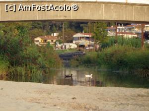 [P27] Siviri, acum și atunci - rațele de sub pod, 2008; parc-ar fi tot alea, nu?  » foto by Dragoș_MD
 - 
<span class="allrVoted glyphicon glyphicon-heart hidden" id="av818928"></span>
<a class="m-l-10 hidden" id="sv818928" onclick="voting_Foto_DelVot(,818928,21081)" role="button">șterge vot <span class="glyphicon glyphicon-remove"></span></a>
<a id="v9818928" class=" c-red"  onclick="voting_Foto_SetVot(818928)" role="button"><span class="glyphicon glyphicon-heart-empty"></span> <b>LIKE</b> = Votează poza</a> <img class="hidden"  id="f818928W9" src="/imagini/loader.gif" border="0" /><span class="AjErrMes hidden" id="e818928ErM"></span>